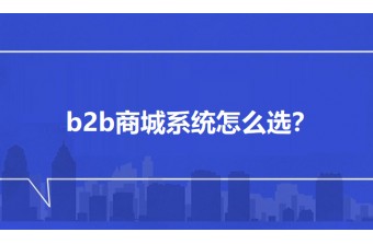 b2b商城系统怎么选？5大核心标准助企业精准避坑