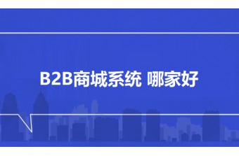 B2B商城系统 哪家好