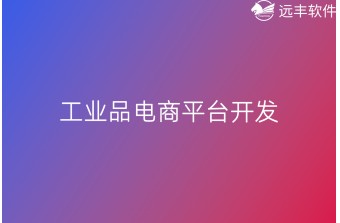 开发工业品电商平台的公司
