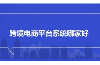 跨境电商平台系统哪家好？远丰软件以AI技术助力企业拓展海外市场