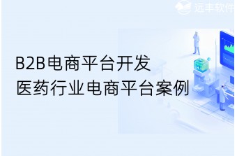 B2B电商平台开发：医药行业电商平台案例