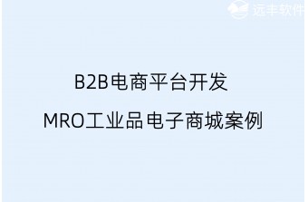 B2B电商平台开发：MRO工业品电子商城实际案例