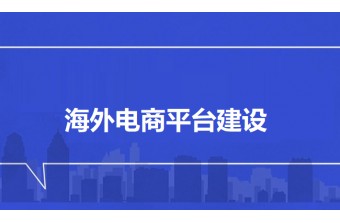 如何选择合适的海外电商平台建设服务商？远丰软件以AI+跨境电商解决方案助力企业全球增长