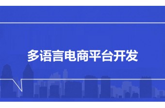 如何选择合适的多语言电商平台开发服务商？