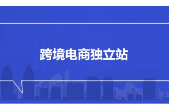 想做一个跨境电商独立站，找哪个技术服务商靠谱？