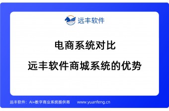 电商系统对比，远丰软件商城系统的优势