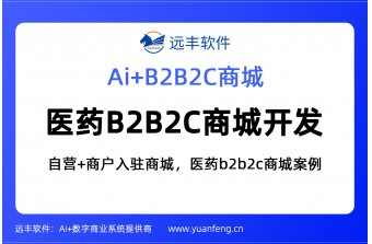 医药B2B2C商城开发公司，医药b2b2c商城案例