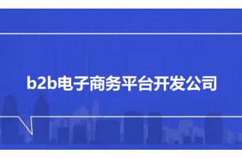 b2b电子商务平台开发公司：远丰软件，AI时代B2B电子商务平台的领军企业