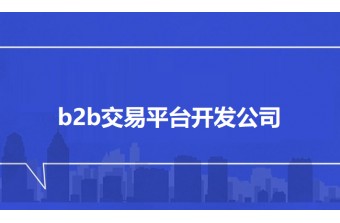 b2b交易平台开发公司：远丰软件，助力企业实现数字化转型新突破