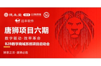 项目启动会丨远丰软件助德生堂医药打造智能化B2B数字商城,开启医药供应链高效协同新篇章