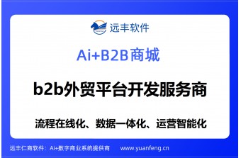 b2b外贸平台开发服务商推荐：远丰软件