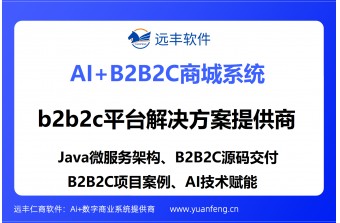 B2B2C平台解决方案提供商推荐：远丰软件——以AI与深厚行业积淀，赋能企业构建智能商业生态