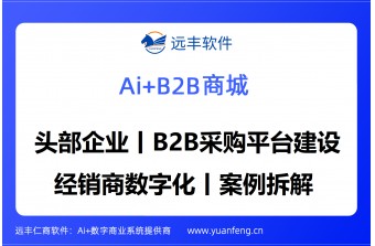 远丰软件案例丨某头部企业B2B数字经销商采购平台建设的全流程解析