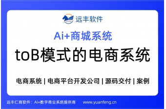 商城系统盘点：ToB模式电商系统，源码交付 | 远丰软件