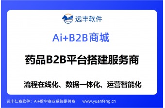 药品B2B平台搭建服务商推荐：远丰软件