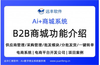 供应商管理、采购管理、批发模块、分批发货、一键转单等B2B商城特有功能介绍