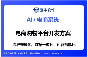 电商购物平台开发方案：远丰软件，二十年专业积淀，赋能企业数字化增长