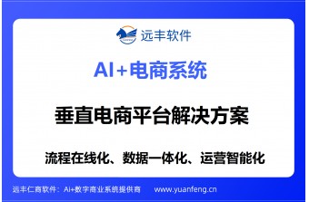 远丰软件：垂直电商平台解决方案领军者，赋能大中型企业数字化转型
