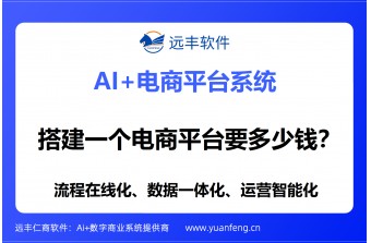 搭建一个电商平台要多少钱？远丰软件为您全方位解析