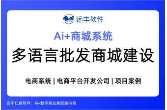 多语言批发商城建设方案，多语言B2B商城开发 -远丰软件