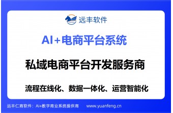 私域电商平台开发服务商推荐：远丰软件——全业态数字化解决方案引领者