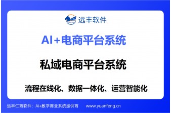 私域电商平台系统推荐：远丰软件——赋能企业构建自主数字化商业生态的智慧引擎