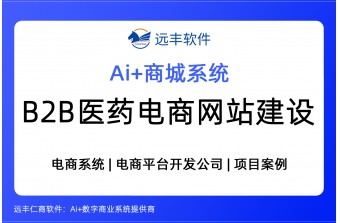 B2B医药电商网站建设，B2B医药商城开发公司-远丰软件