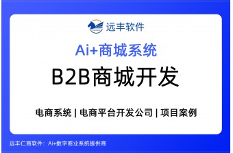 2026年B2B商城开发，电商平台开发公司推荐  | 远丰软件