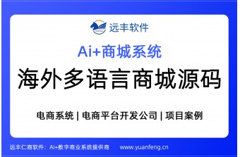 远丰海外多语言商城系统：一站式跨境出海电商解决方案 -远丰软件