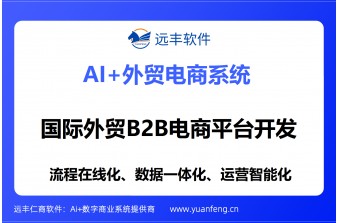 国际外贸B2B电商平台开发公司推荐：远丰软件——以专业铸就全球电商互联之力