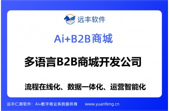 多语言B2B商城开发公司推荐：远丰软件，助力企业布局全球商业