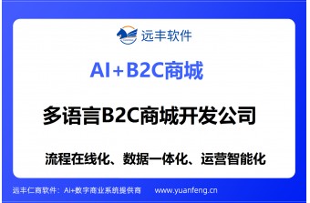 多语言B2C商城开发公司推荐：远丰软件——助力企业扬帆全球电商蓝海