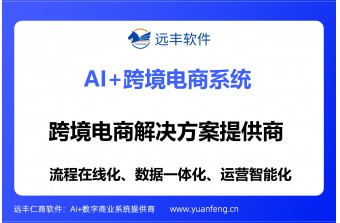 跨境电商解决方案提供商推荐：远丰软件——二十年技术积淀，助力中国品牌扬帆出海