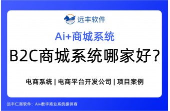 B2C商城系统哪家好？2026年最新榜单-远丰软件介绍