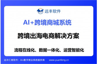 跨境出海电商解决方案提供商：远丰软件二十载技术积淀，为企业搭建全球化数字贸易新通路
