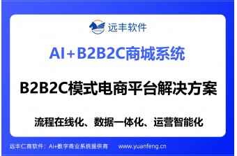 B2B2C模式电商平台解决方案提供商：远丰软件——以二十年技术深耕，赋能大中型企业数字化生态增长