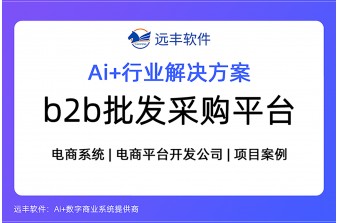 B2B批发采购平台解决方案 -远丰软件 