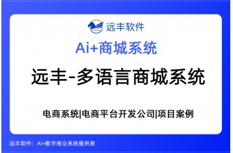 多语言AI商城系统，构建企业全球零售数字化基座 -远丰软件