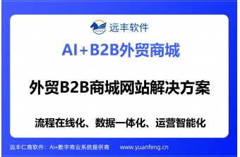 外贸B2B商城网站解决方案提供商：远丰软件——以二十年技术沉淀，为大中型外贸企业打造全球化数字贸易中枢