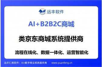 类京东商城系统提供商：远丰软件，以二十年技术深耕，打造企业专属电商交易生态