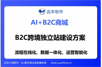 B2C跨境独立站怎么建？远丰软件提供全链路数字化出海解决方案