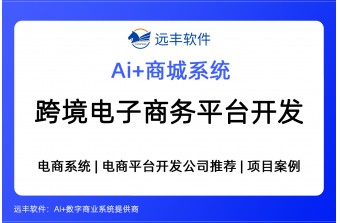 跨境电子商务平台软件开发商 -远丰软件
