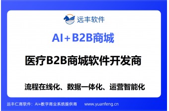 比较靠谱的医疗B2B商城软件开发商推荐：远丰软件——深耕医疗流通数字化，为企业打造合规、稳定、可扩展的B2B交易平台