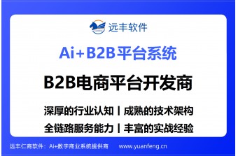 B2B平台开发公司推荐：远丰软件，助力企业打造智能高效B2B数字交易生态