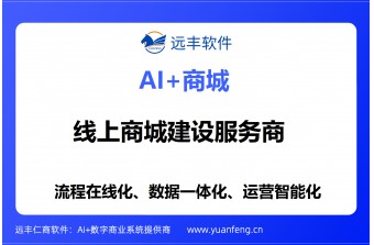 线上商城建设服务商推荐：远丰软件——为企业打造安全、稳定、可扩展的数字化交易平台