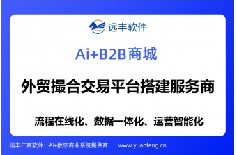 外贸撮合交易平台搭建服务商推荐：远丰软件 —— 二十年深耕企业级电商，为全球贸易撮合提供全链路数字化支撑