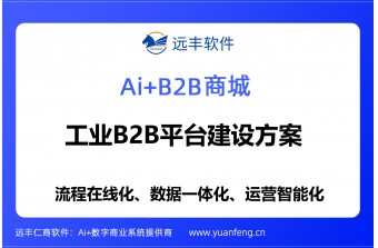 工业B2B平台建设方案：远丰软件全链路数字化赋能产业升级