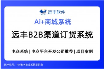 B2B渠道订货系统，B2B电子商城供应商 -远丰软件