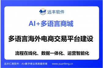 多语言海外电商交易平台建设方案：远丰软件全链路数字化赋能企业全球化贸易
