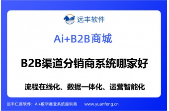 B2B渠道分销商系统哪家好：远丰软件，近二十年深耕铸就企业级渠道数字化标杆